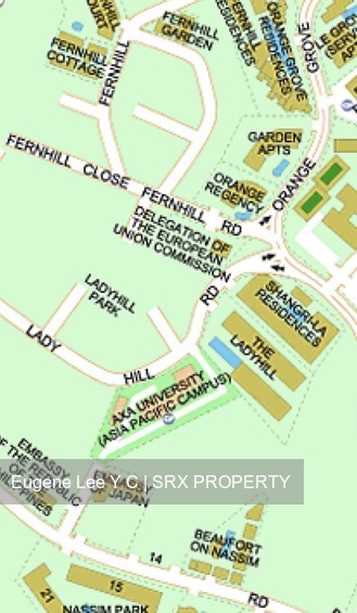 Orange Grove Residences (D10), Condominium #182569482